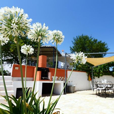 Villetta Panoramica Ostuni Kültér fotó